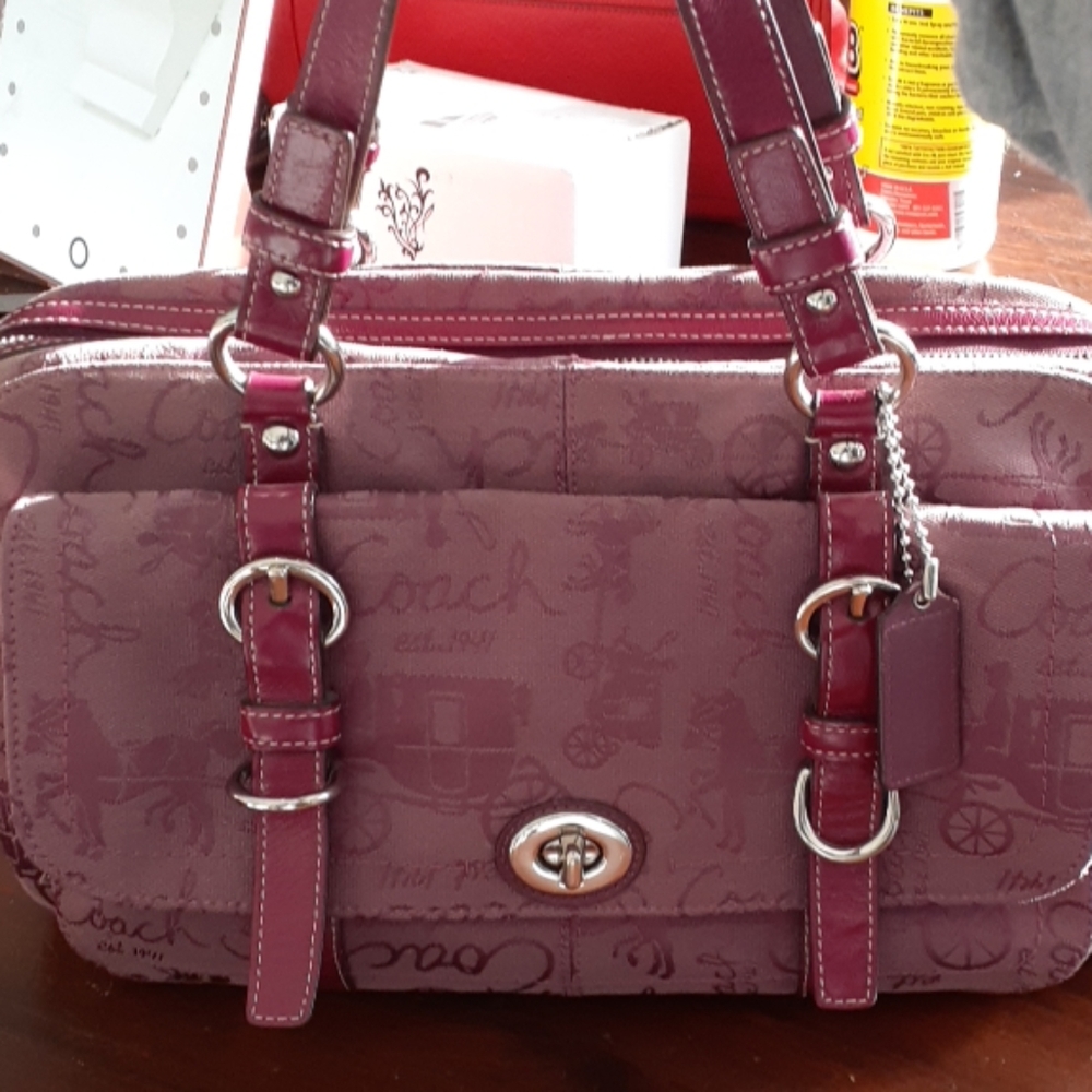 Coach bag *authentic* Horse and Carriage